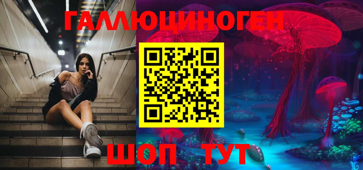 Галлюциногенные грибы прущие грибы  Галлюциногенные грибы мицелий  Вход с VPN  Луга 